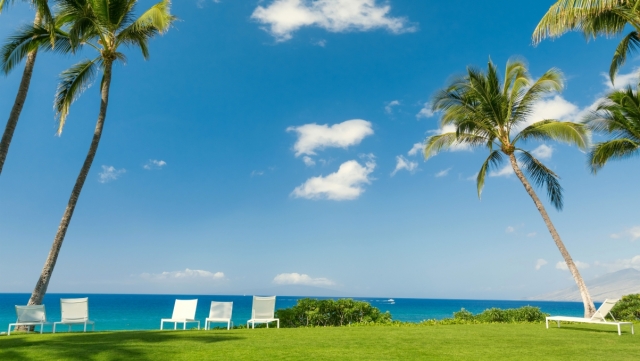 法国禁止游戏中使用英语术语！法语新表达又增加了！法专生：我学不完了......